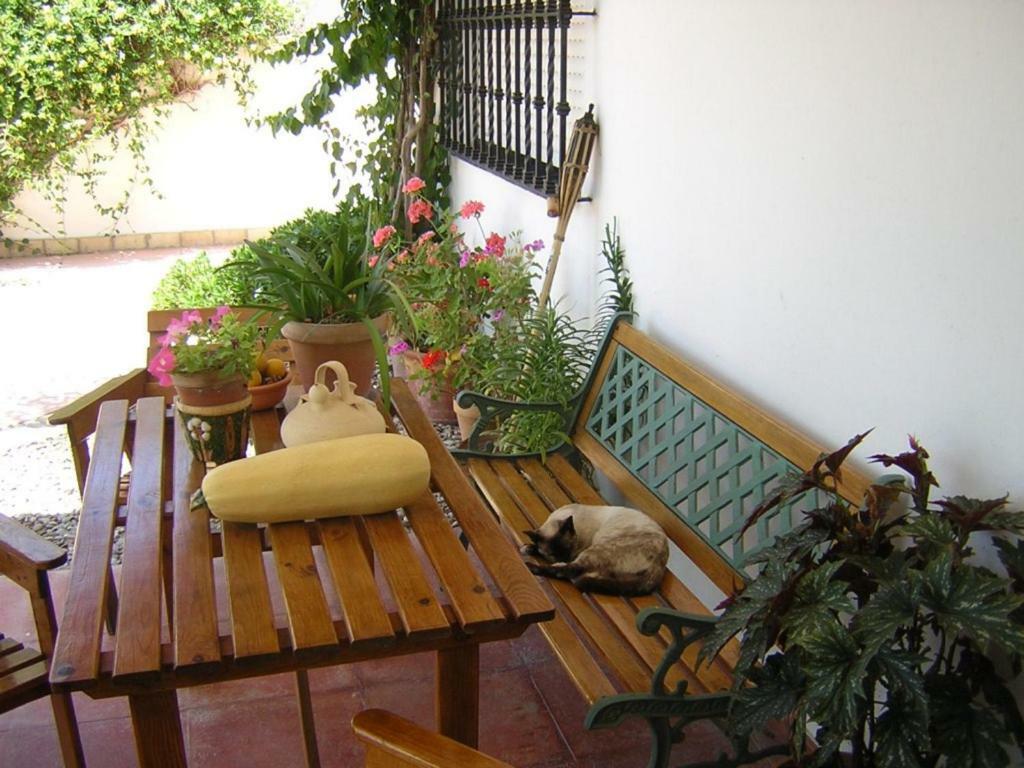 Nocleg ze śniadaniem Casa Algaida Sanlúcar de Barrameda