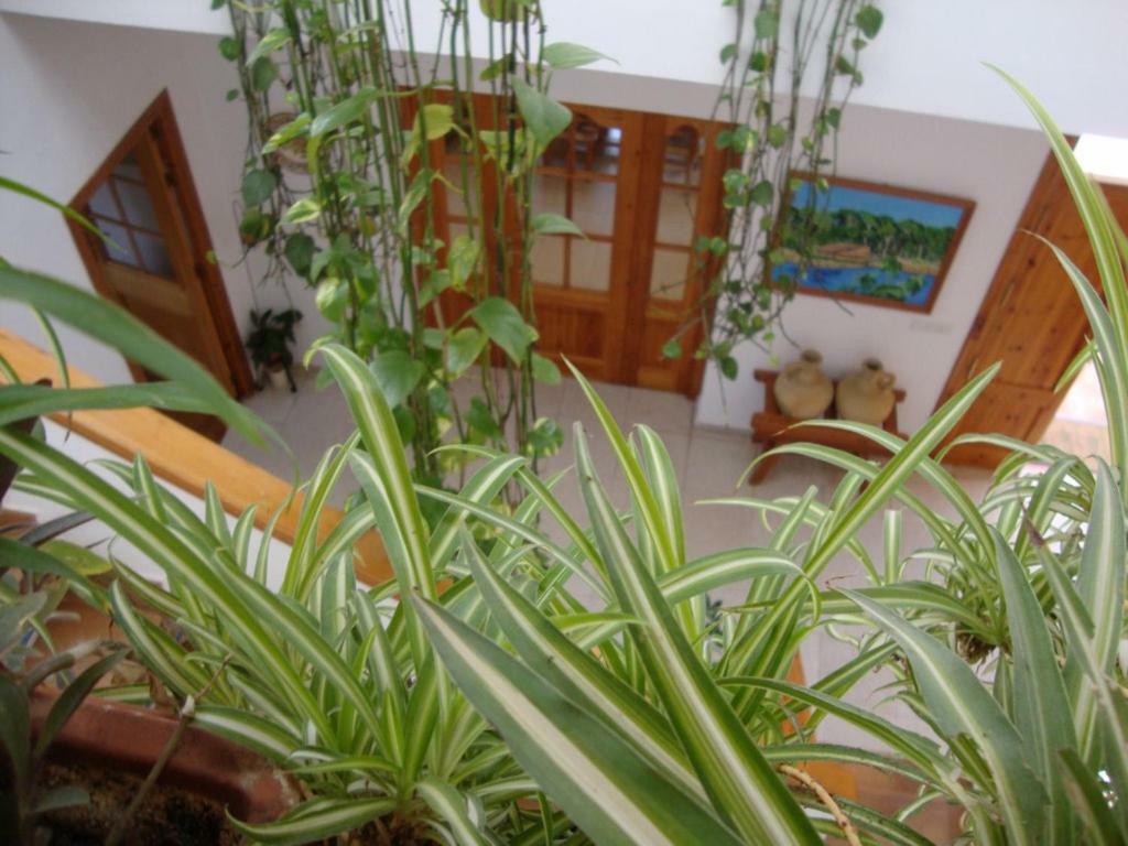 Nocleg ze śniadaniem Casa Algaida Sanlúcar de Barrameda