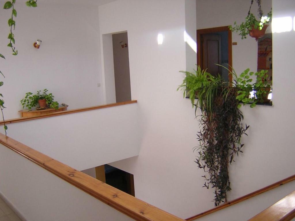 Nocleg ze śniadaniem Casa Algaida *